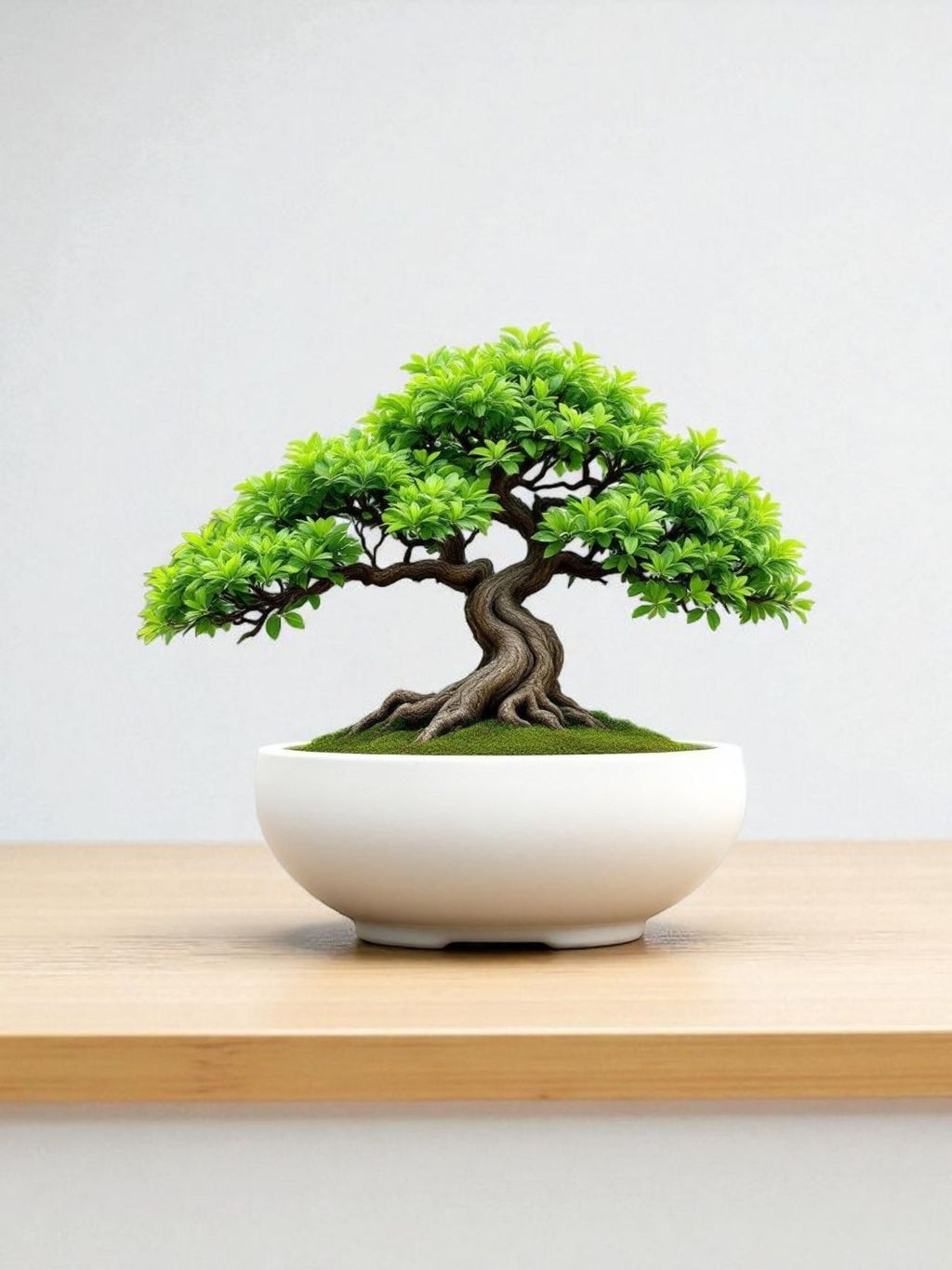 3D Printed Bonsai Planter Bowl with Drainage Hole