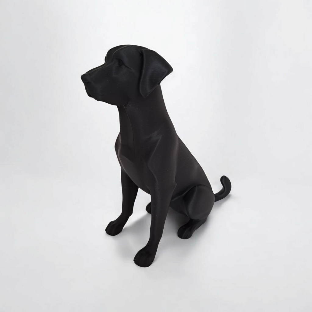 3D Printed Labrador Sculpture