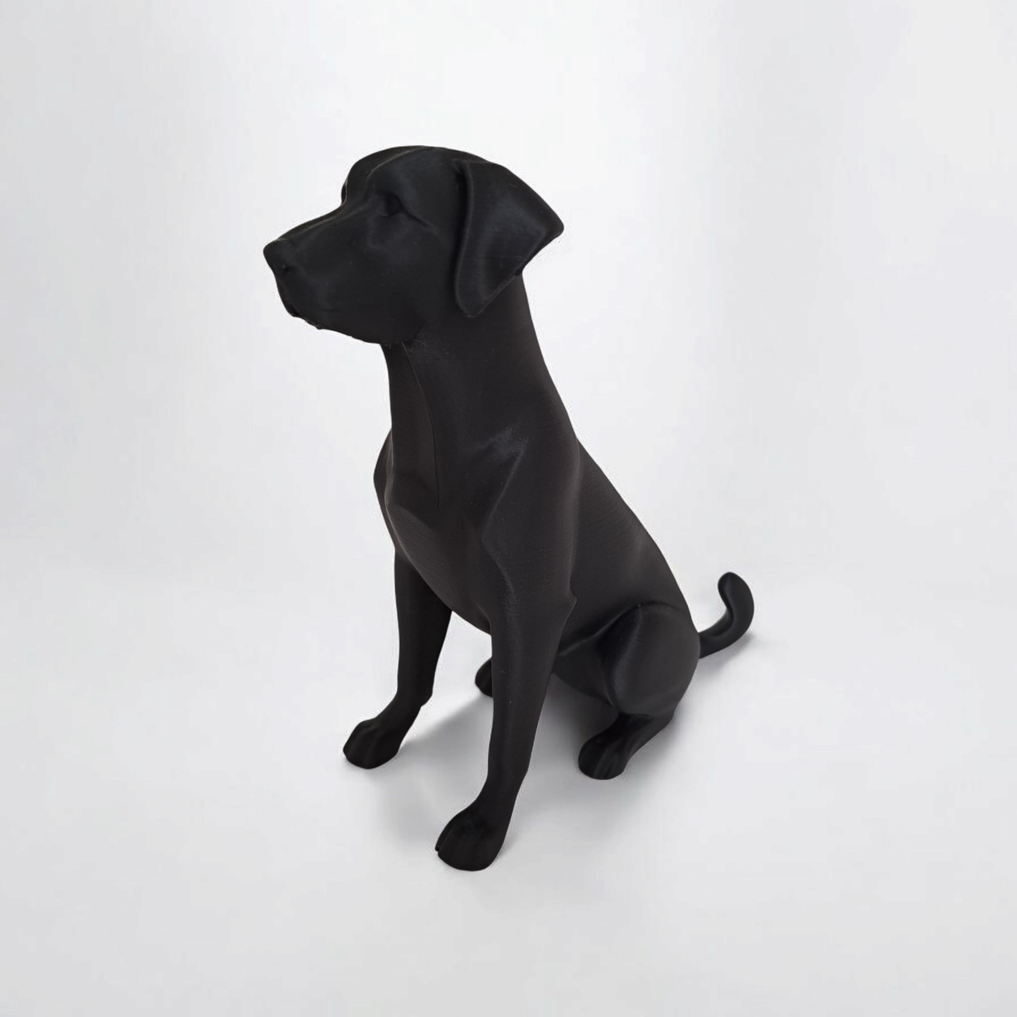 3D Printed Labrador Sculpture