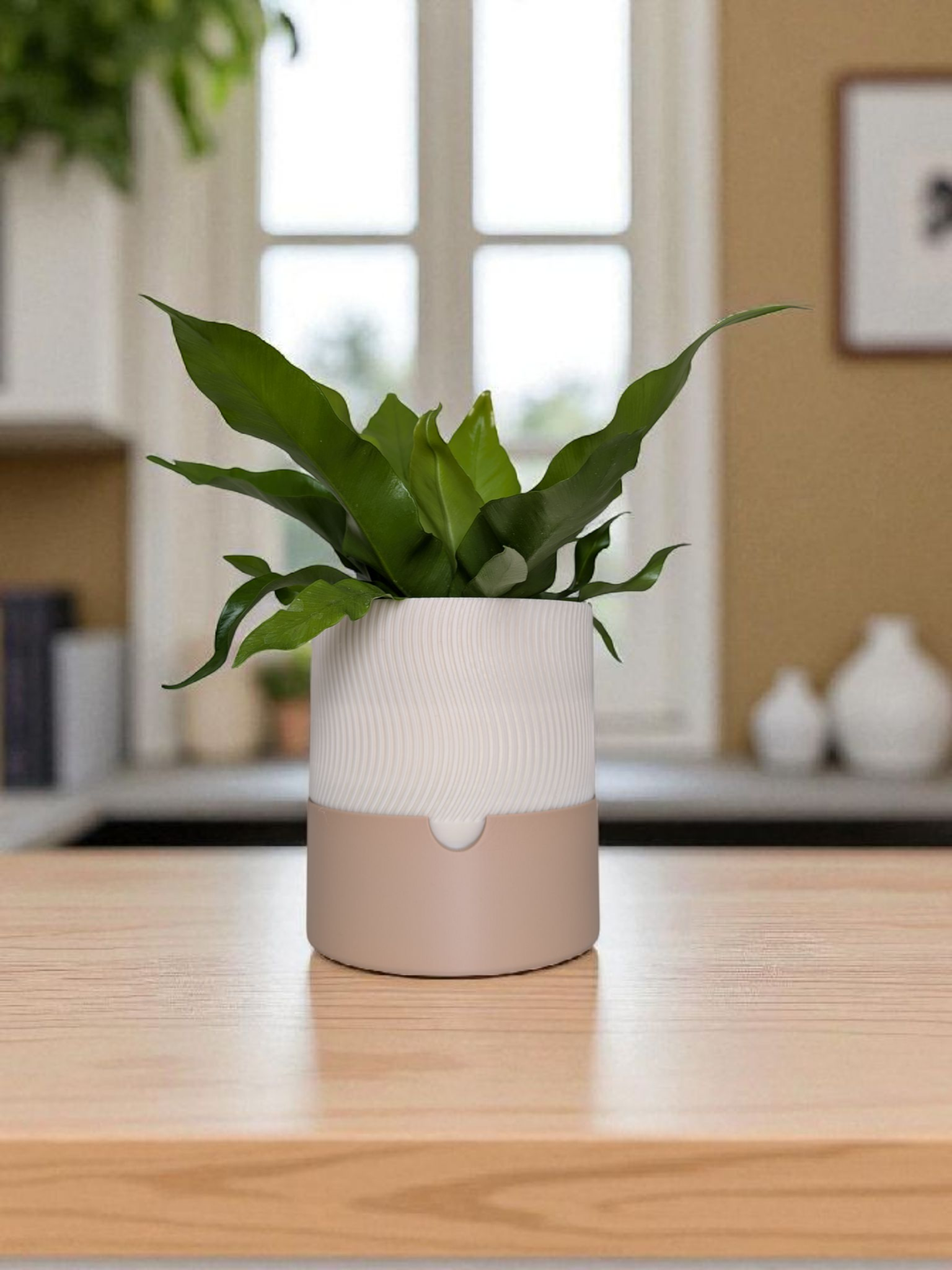 Self-Watering Planter with Drainage Tray