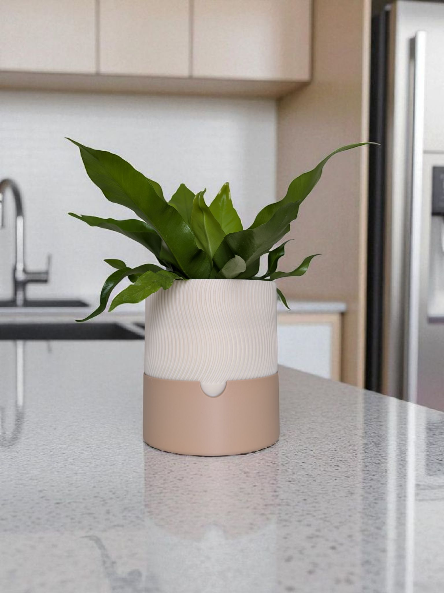 Self-Watering Planter with Drainage Tray