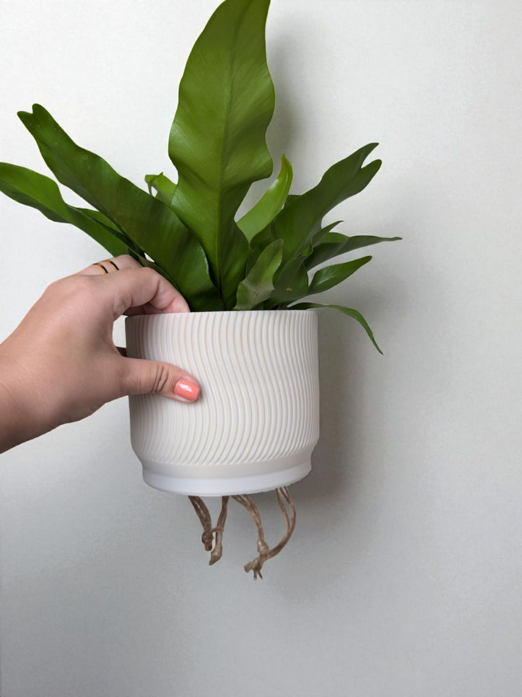 Self-Watering Planter with Drainage Tray