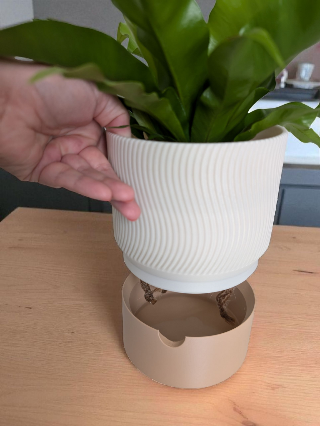 Self-Watering Planter with Drainage Tray