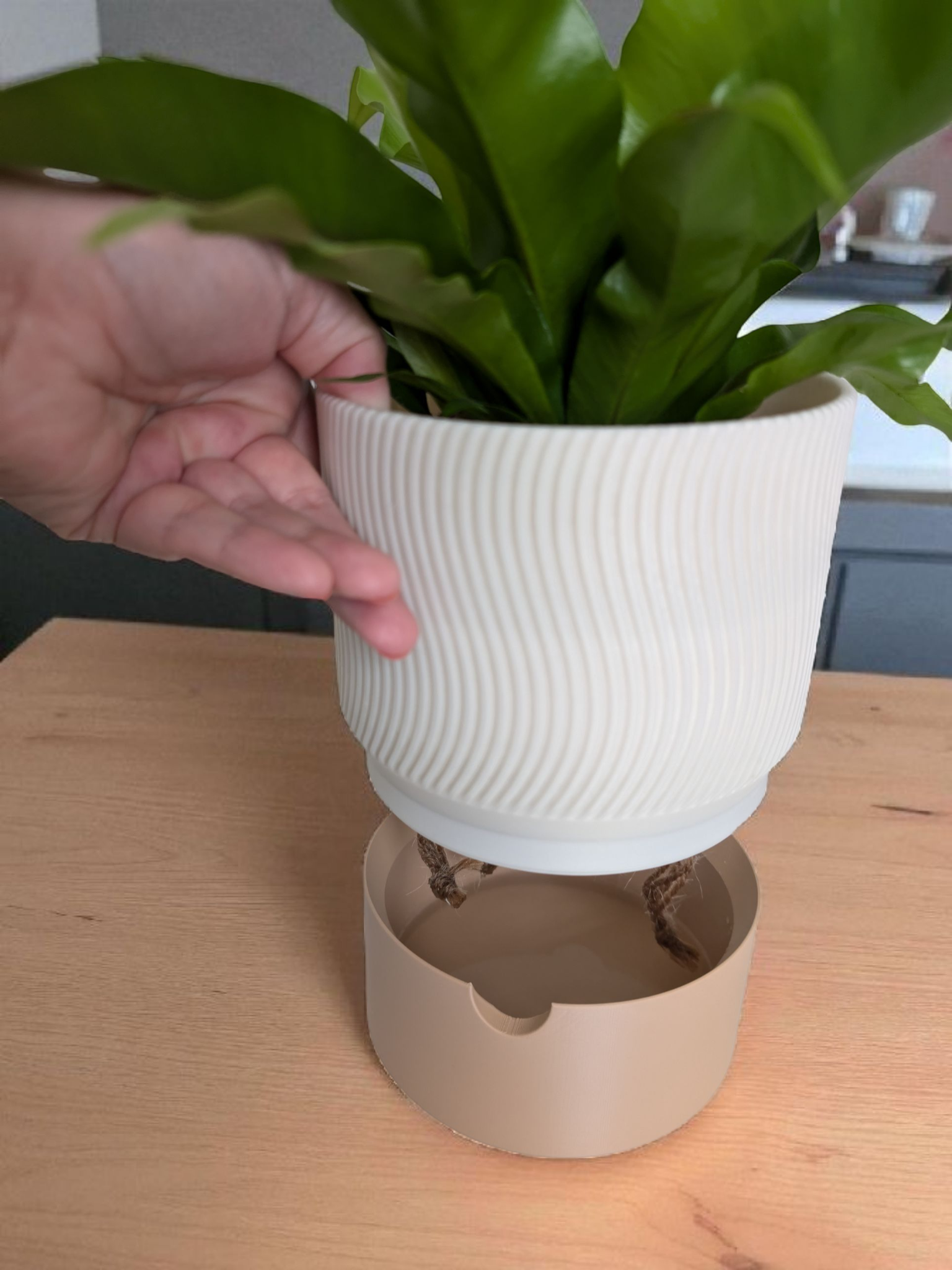 Self-Watering Planter with Drainage Tray