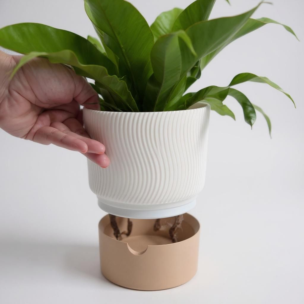 Self-Watering Planter with Drainage Tray