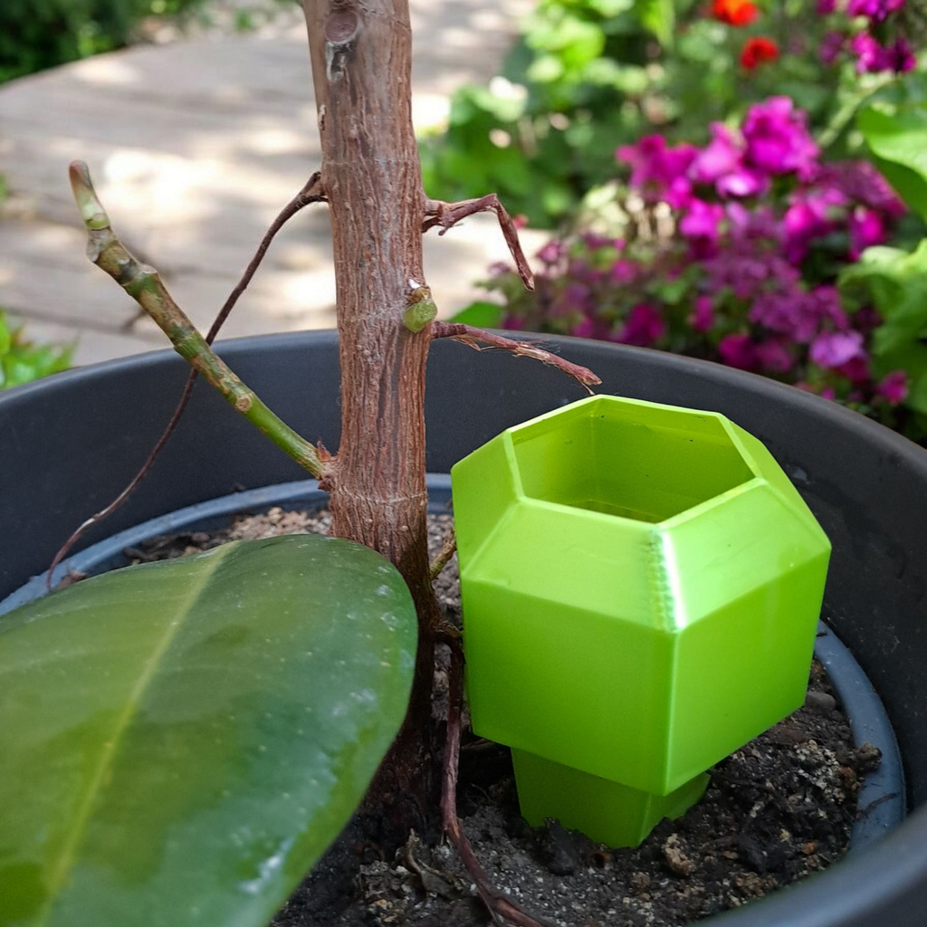 Geometric Watering Spike